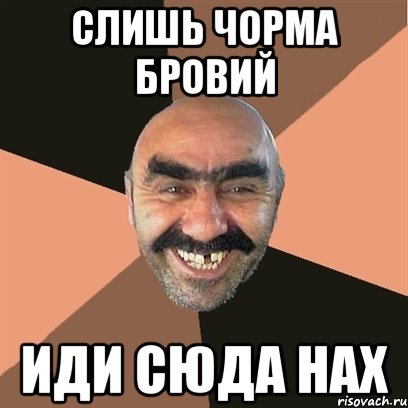 слишь чорма бровий иди сюда нах, Мем Я твой дом труба шатал