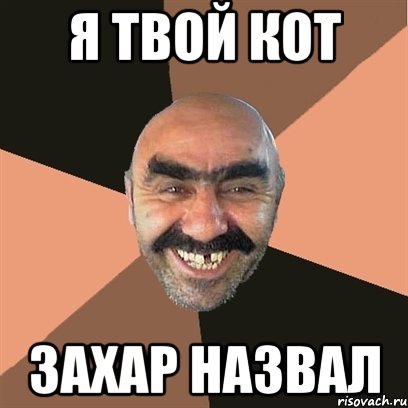 Я твой кот Захар назвал, Мем Я твой дом труба шатал