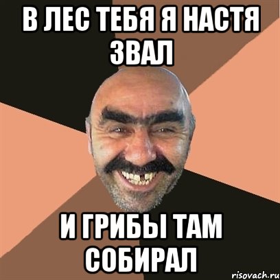 в лес тебя я настя звал и грибы там собирал, Мем Я твой дом труба шатал