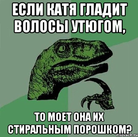 если катя гладит волосы утюгом, то моет она их стиральным порошком?, Мем Филосораптор