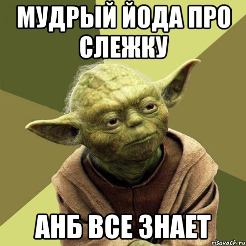 Мудрый йода про слежку анб все знает