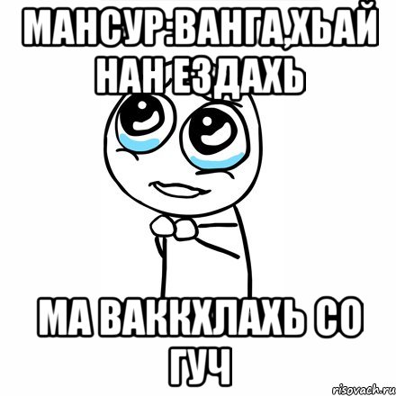 мансур:ванга,хьай нан ездахь ма ваккхлахь со гуч, Мем зачетка