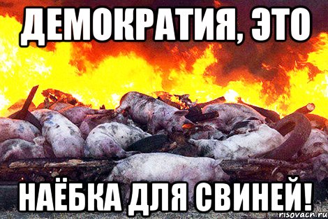 ДЕМОКРАТИЯ, ЭТО НАЁБКА ДЛЯ СВИНЕЙ!, Мем Зал УПА