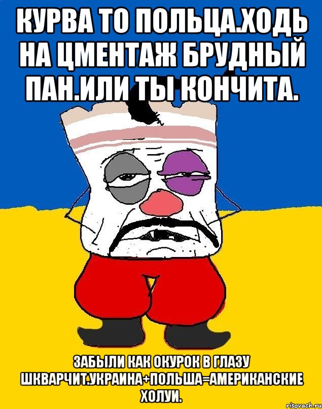 Курва то польца.ходь на цментаж брудный пан.или ты кончита. забыли как окурок в глазу шкварчит.украина+польша=американские холуи., Мем Западенец - тухлое сало