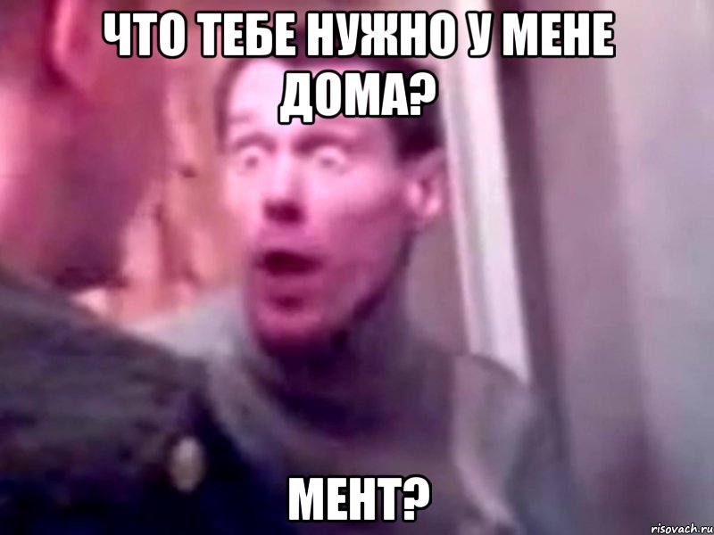 Что тебе нужно у мене дома? Мент?, Мем Запили