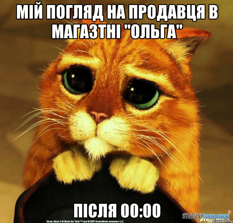 мій погляд на продавця в магазтні "Ольга" після 00:00, Мем Котик из Шрека