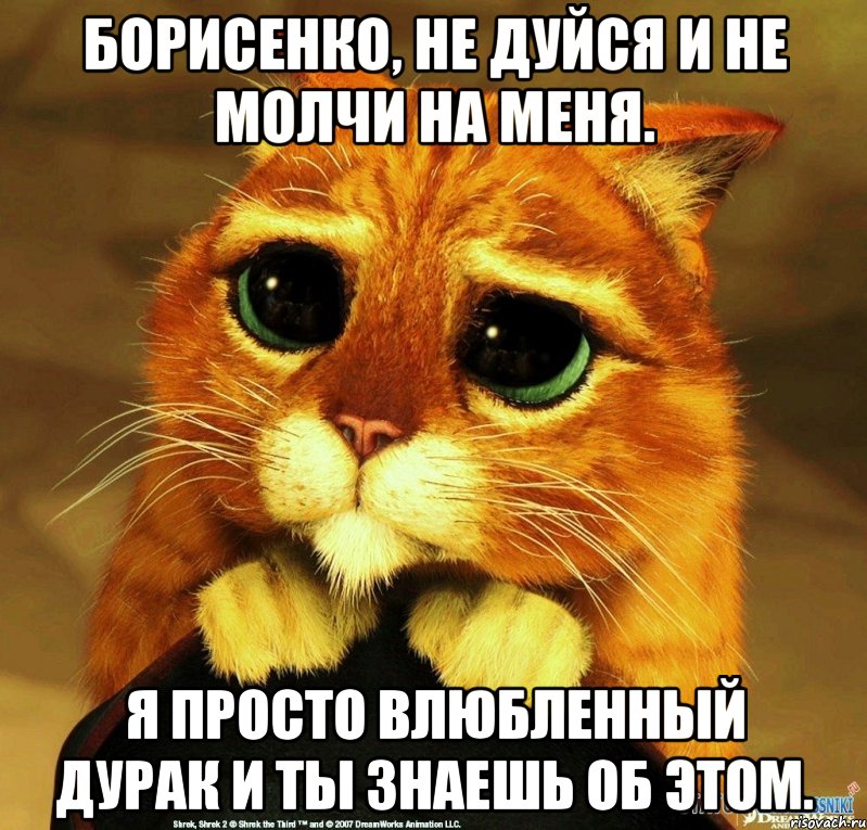 Борисенко, не дуйся и не молчи на меня. Я просто влюбленный дурак и ты знаешь об этом., Мем Котик из Шрека