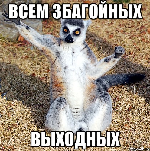 ВСЕМ ЗБАГОЙНЫХ ВЫХОДНЫХ