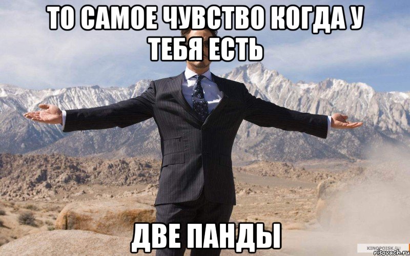 то самое чувство когда у тебя есть две панды, Мем железный человек