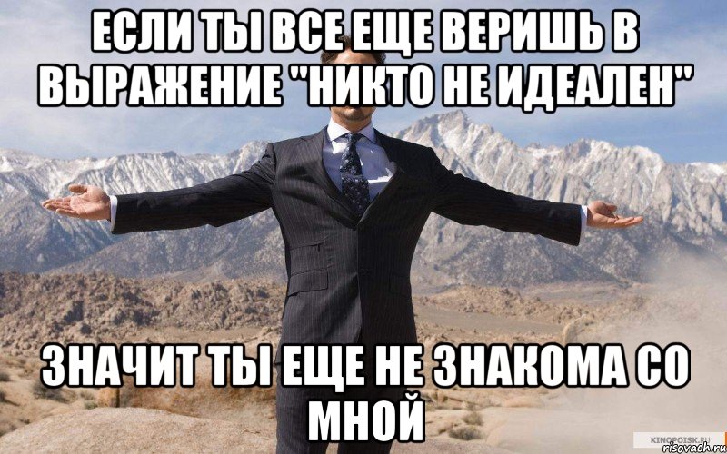 если ты все еще веришь в выражение "никто не идеален" значит ты еще не знакома со мной, Мем железный человек