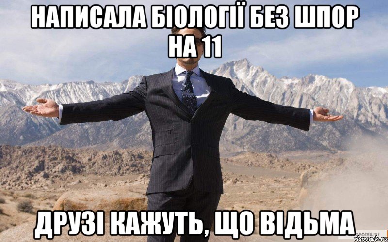 Написала біології без шпор на 11 Друзі кажуть, що відьма, Мем железный человек