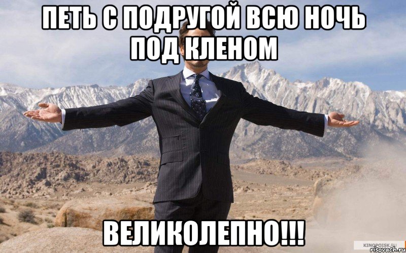 петь с подругой всю ночь под кленом великолепно!!!, Мем железный человек