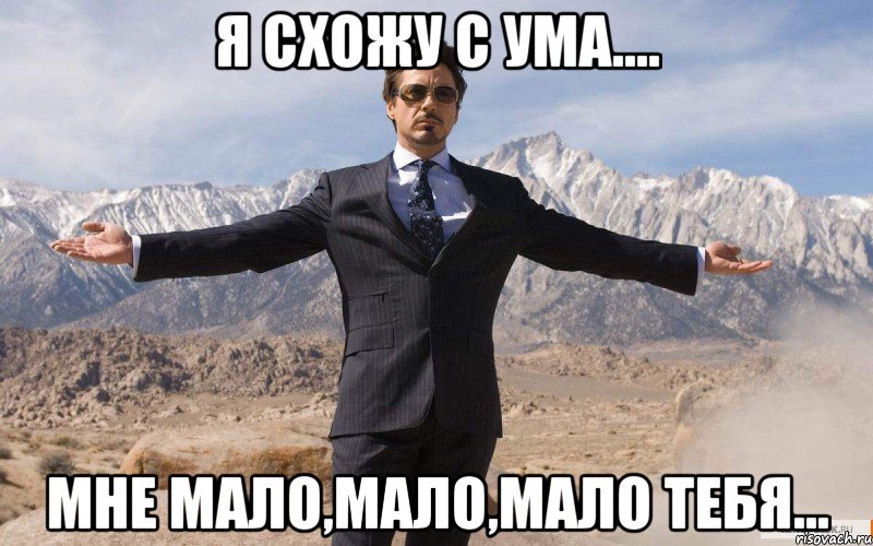 Я схожу с ума.... Мне мало,мало,мало тебя..., Мем железный человек