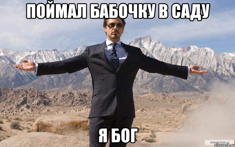 Поймал бабочку в саду Я бог, Мем железный человек