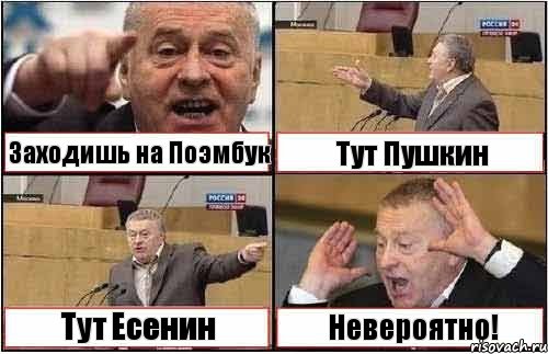 Заходишь на Поэмбук Тут Пушкин Тут Есенин Невероятно!, Комикс жиреновский