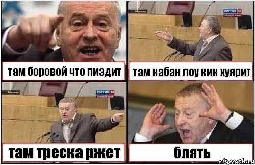 там боровой что пиздит там кабан лоу кик хуярит там треска ржет блять, Комикс жиреновский