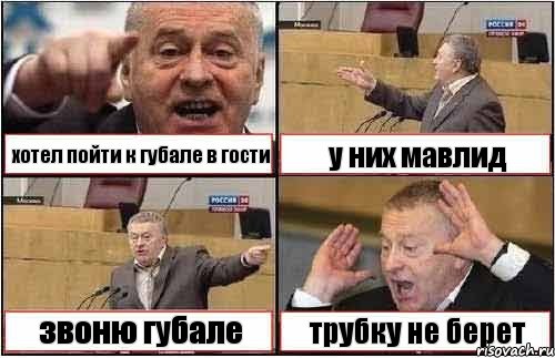 хотел пойти к губале в гости у них мавлид звоню губале трубку не берет, Комикс жиреновский