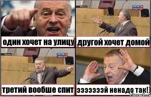 один хочет на улицу другой хочет домой третий вообше спит эээээээй ненадо так!), Комикс жиреновский