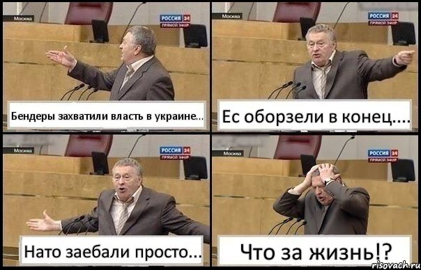 Бендеры захватили власть в украине... Ес оборзели в конец.... Нато заебали просто... Что за жизнь!?, Комикс Жирик в шоке хватается за голову