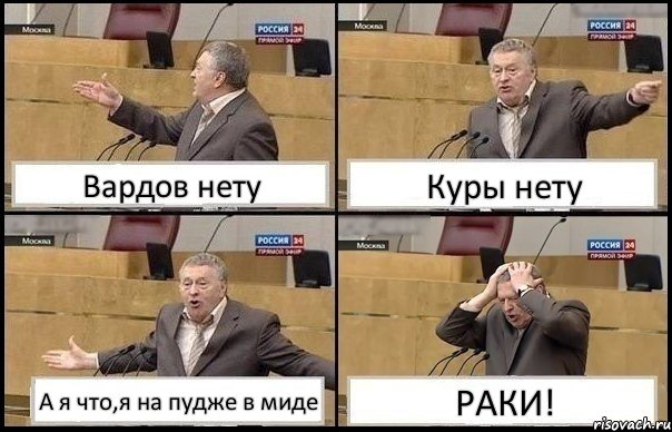 Вардов нету Куры нету А я что,я на пудже в миде РАКИ!, Комикс Жирик в шоке хватается за голову