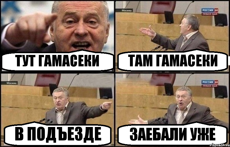 ТУТ ГАМАСЕКИ ТАМ ГАМАСЕКИ В ПОДЪЕЗДЕ ЗАЕБАЛИ УЖЕ, Комикс Жириновский