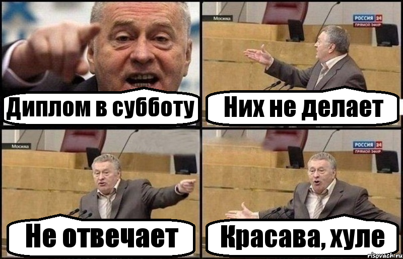 Диплом в субботу Них не делает Не отвечает Красава, хуле, Комикс Жириновский