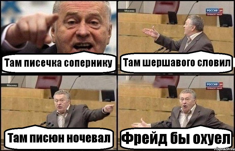 Там писечка сопернику Там шершавого словил Там писюн ночевал Фрейд бы охуел, Комикс Жириновский