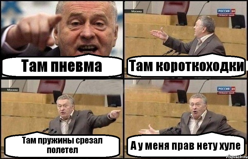 Там пневма Там короткоходки Там пружины срезал полетел А у меня прав нету хуле, Комикс Жириновский