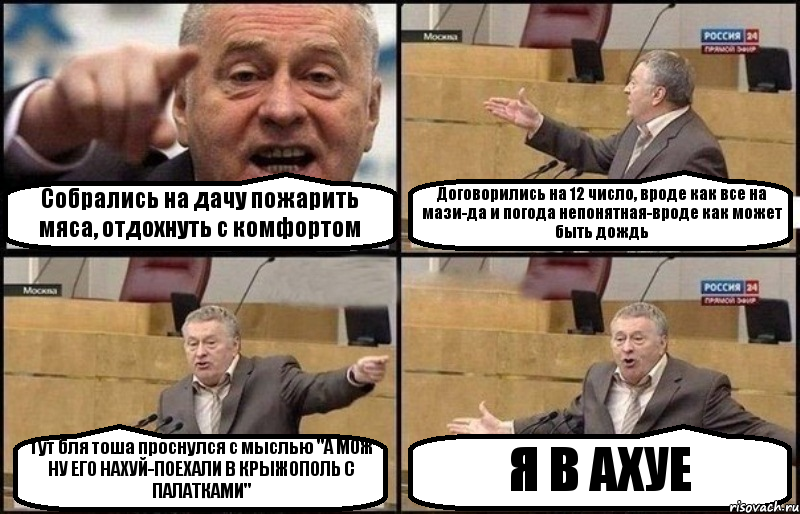 Собрались на дачу пожарить мяса, отдохнуть с комфортом Договорились на 12 число, вроде как все на мази-да и погода непонятная-вроде как может быть дождь Тут бля тоша проснулся с мыслью "А МОЖ НУ ЕГО НАХУЙ-ПОЕХАЛИ В КРЫЖОПОЛЬ С ПАЛАТКАМИ" Я В АХУЕ, Комикс Жириновский