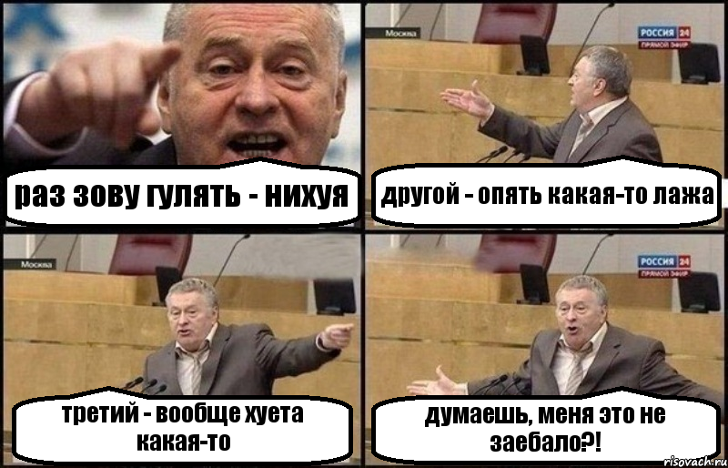 раз зову гулять - нихуя другой - опять какая-то лажа третий - вообще хуета какая-то думаешь, меня это не заебало?!, Комикс Жириновский