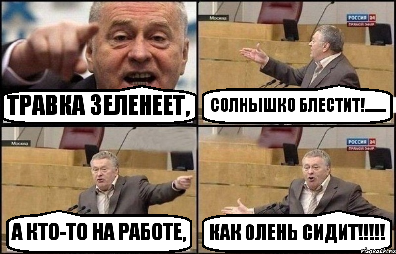 ТРАВКА ЗЕЛЕНЕЕТ, СОЛНЫШКО БЛЕСТИТ!....... А КТО-ТО НА РАБОТЕ, КАК ОЛЕНЬ СИДИТ!!!!!, Комикс Жириновский