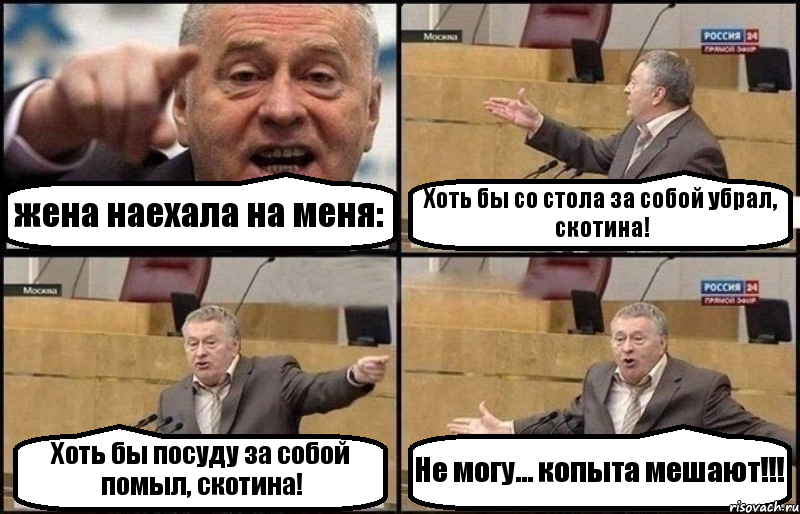 жена наехала на меня: Хоть бы со стола за собой убрал, скотина! Хоть бы посуду за собой помыл, скотина! Не могу... копыта мешают!!!, Комикс Жириновский