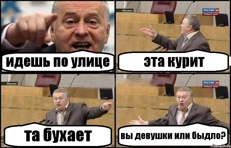 идешь по улице эта курит та бухает вы девушки или быдло?, Комикс Жириновский