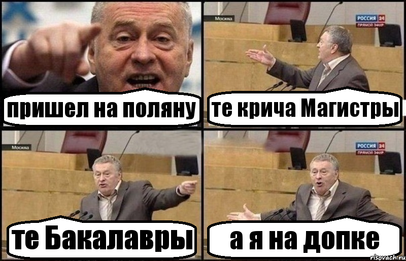 пришел на поляну те крича Магистры те Бакалавры а я на допке, Комикс Жириновский