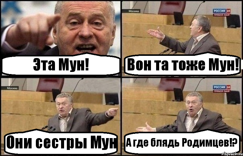 Эта Мун! Вон та тоже Мун! Они сестры Мун А где блядь Родимцев!?, Комикс Жириновский