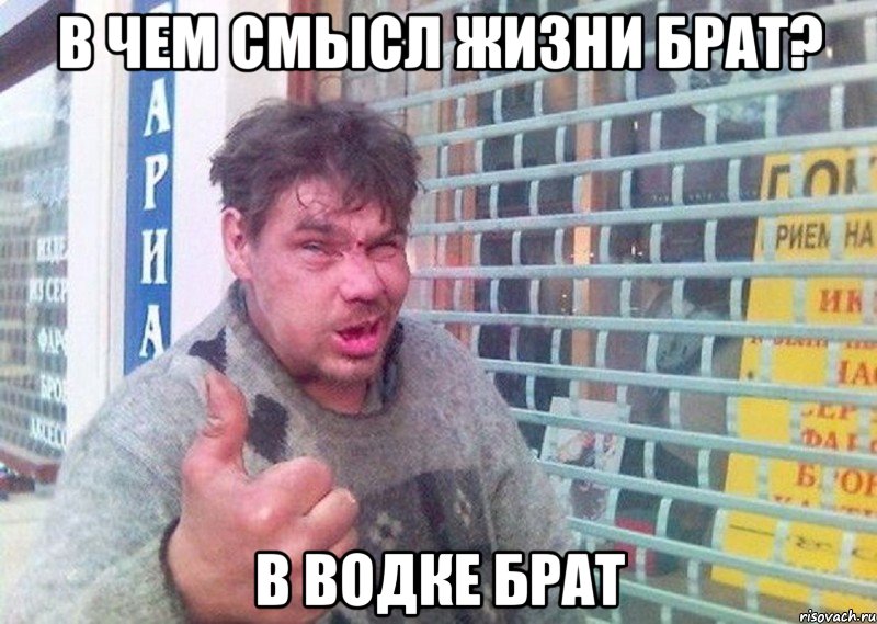 в чем смысл жизни брат? в водке брат