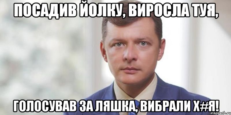 Посадив йолку, виросла туя, Голосував за Ляшка, вибрали х#я!