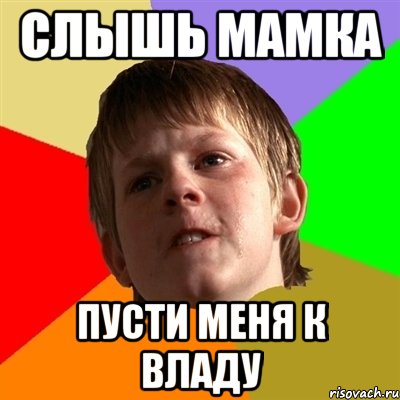 Слышь мамка пусти меня к владу