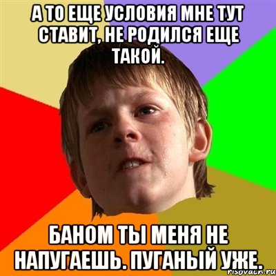 А то еще условия мне тут ставит, не родился еще такой. Баном ты меня не напугаешь. Пуганый уже.