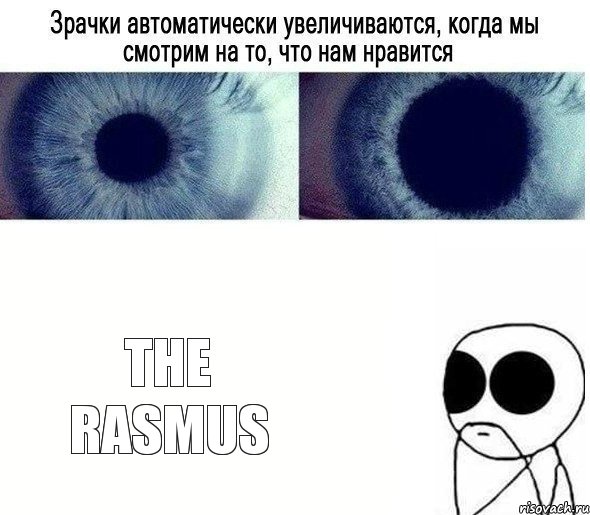 THE RASMUS