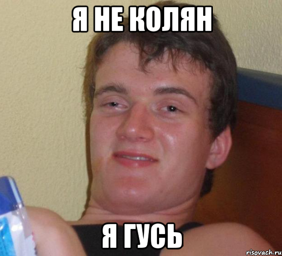 я не колян я гусь