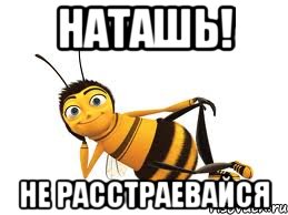 Наташь! Не расстраевайся