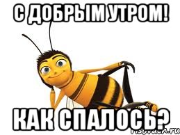 с добрым утром! как спалось?
