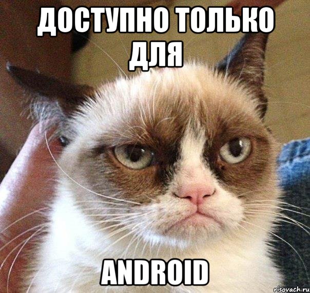 доступно только для Android, Мем Грустный (сварливый) кот