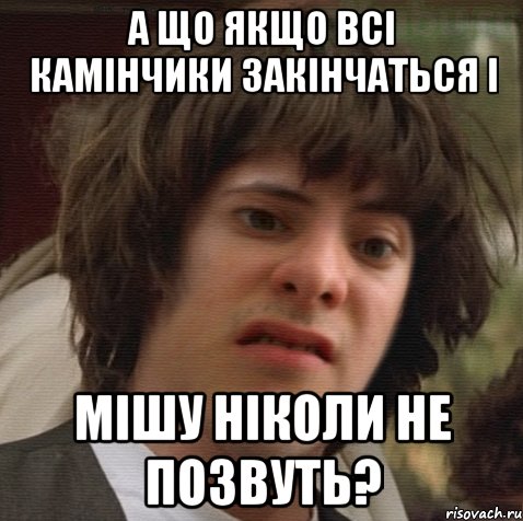 А що якщо всі камінчики закінчаться і Мішу ніколи не позвуть?, Мем 6