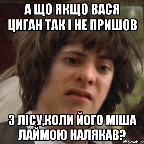 А що якщо Вася Циган так і не пришов з лісу,коли його Міша лаймою налякав?, Мем 6