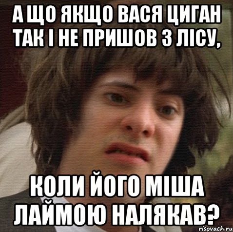 А що якщо Вася Циган так і не пришов з лісу, коли його Міша лаймою налякав?, Мем 6