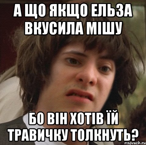 А що якщо ельза вкусила мішу бо він хотів їй травичку толкнуть?, Мем 6