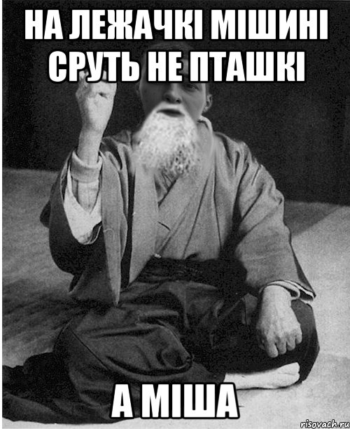 На лежачкі мішині сруть не пташкі а міша