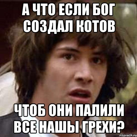 А что если бог создал котов чтоб они палили все нашы грехи?, Мем А что если (Киану Ривз)